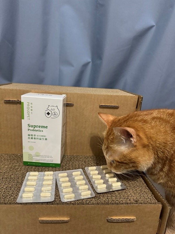 試用